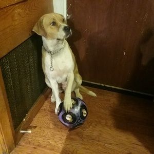 Meet your Posher, Mia